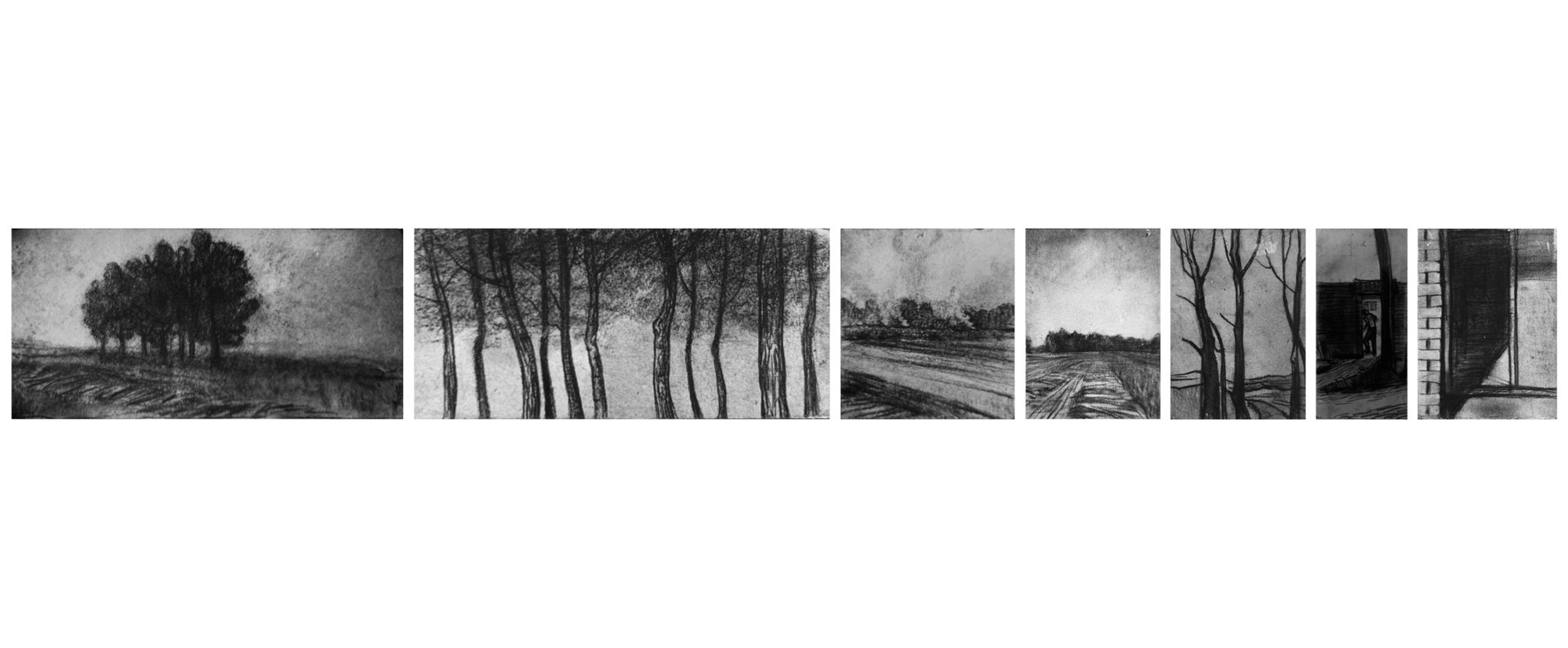 Field Sketches
