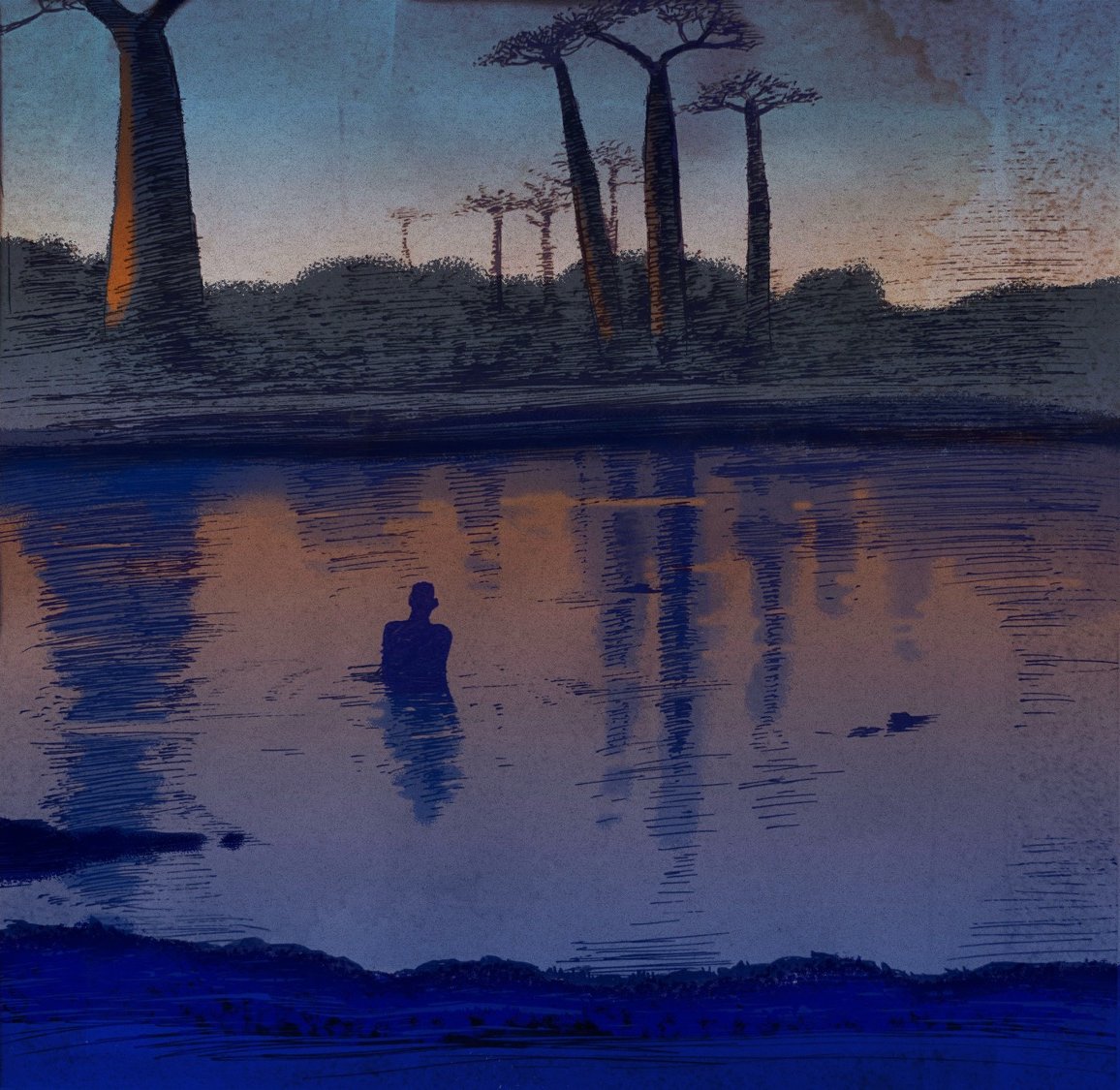 The Baobab Trees